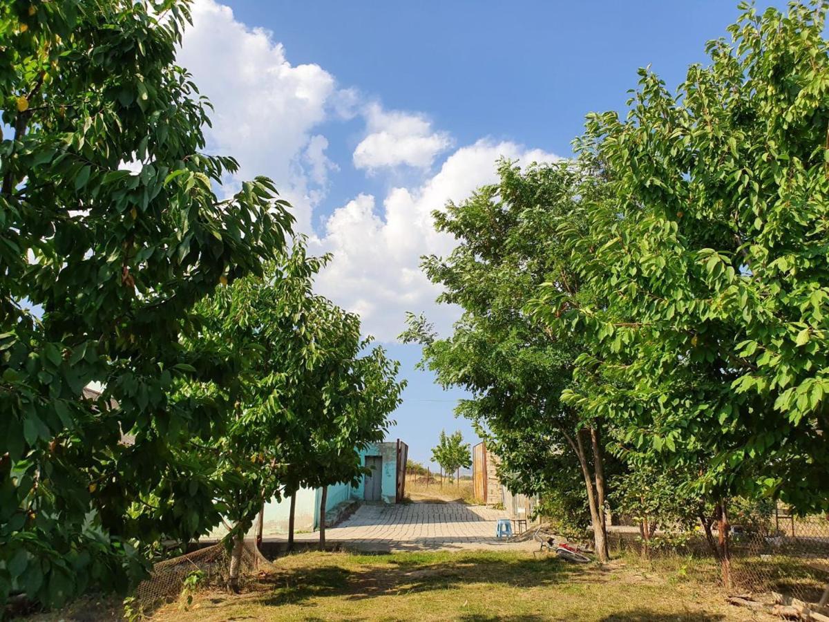 La Casa De Habel Villa Quba Esterno foto