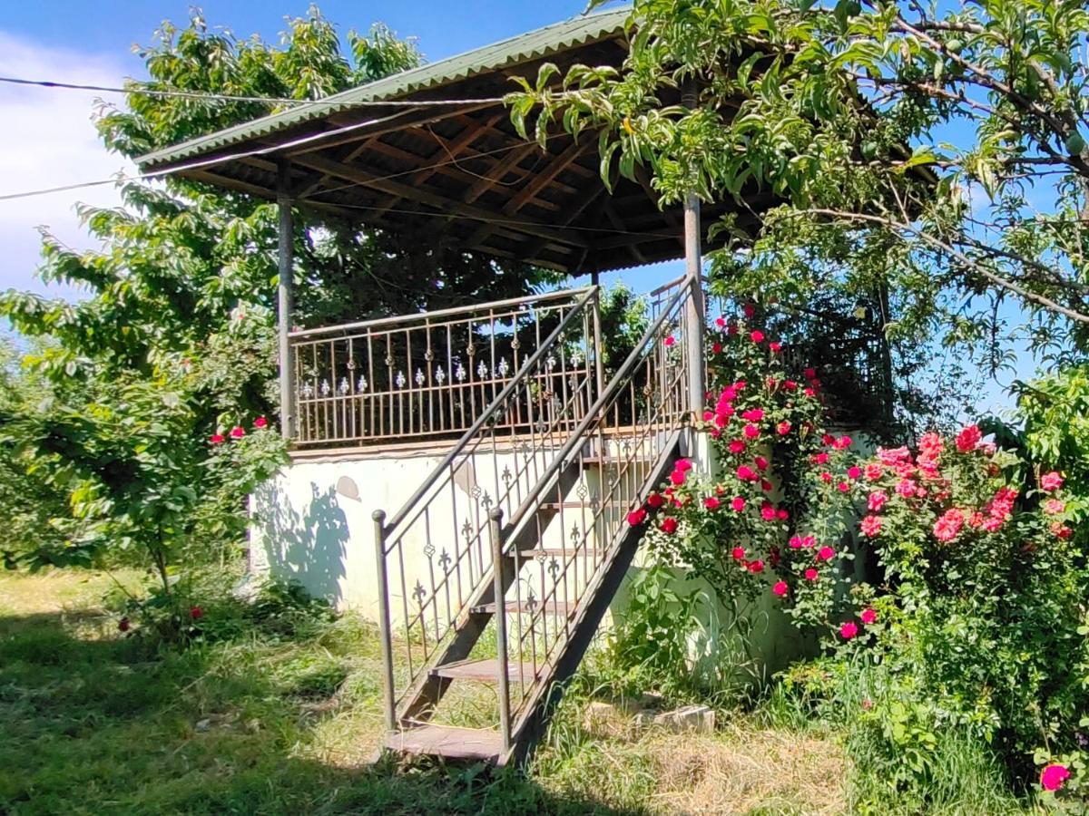 La Casa De Habel Villa Quba Esterno foto